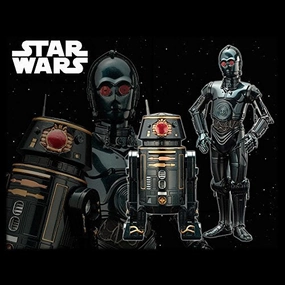 BT-1 & 0-0-0- 1/10 scale - ARTFX  Star Wars - Kotobukiya Teen Bedroom Limited Hobby