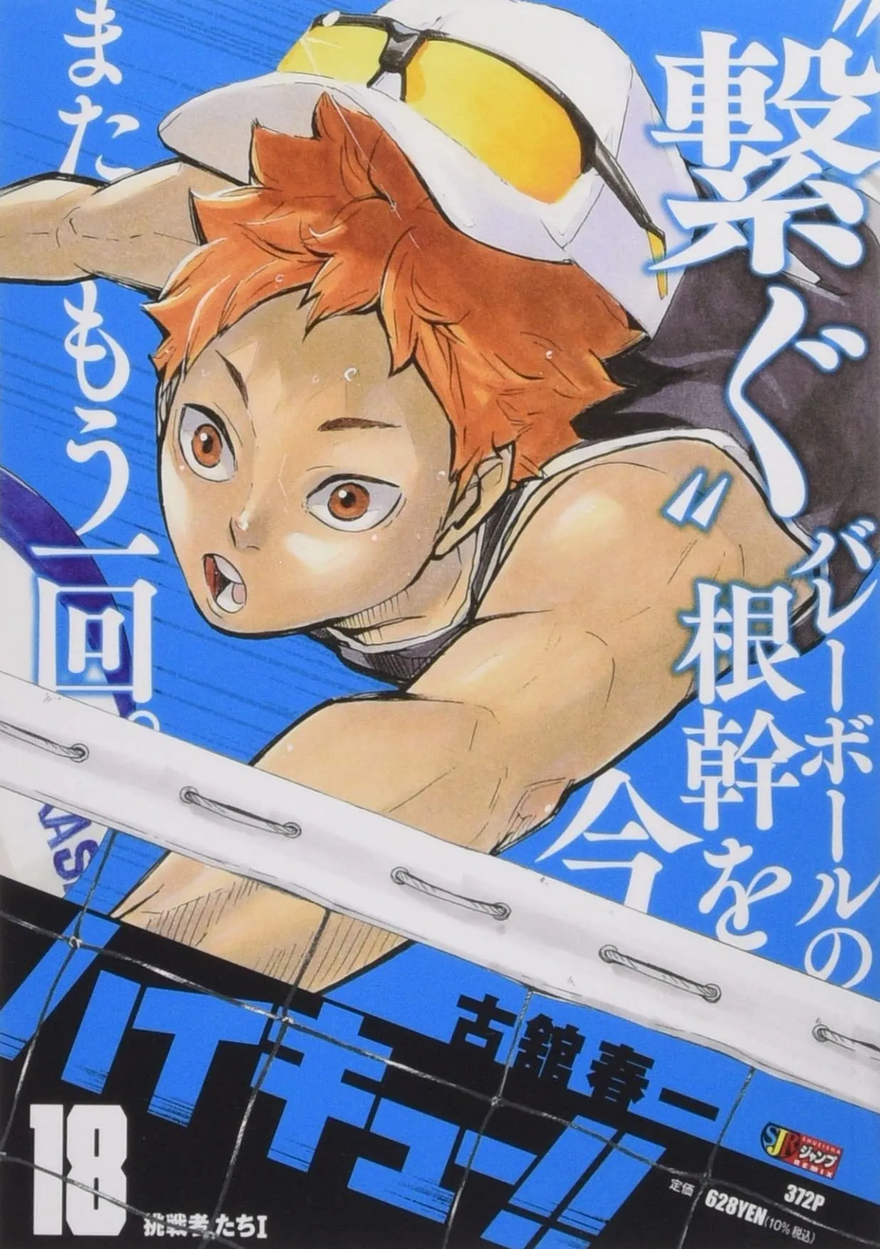 "Haikyu!!" Vol. 18 (Book) Texture Mapping Forest Ecology