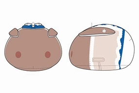 The Idolmaster SideM MochiMochi Friends Plush Watanabe Minori Superhero Merchandise